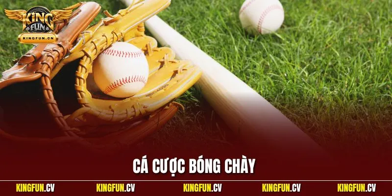 cá cược bóng chày